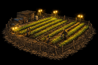 Farm T2